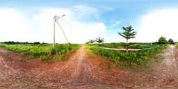 Sunny Rural Path with Power Lines HDRI