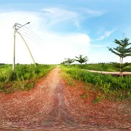 Sunny Rural Path with Power Lines HDRI