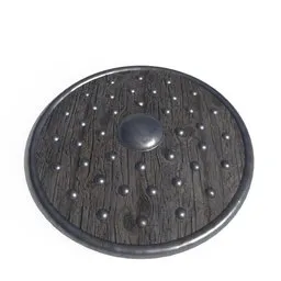 Wooden Shield