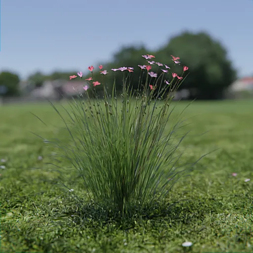 Detailed 3D rendering of Dianthus Deltoides with lush green foliage and vibrant pink blossoms for Blender artists.