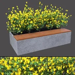 Yellow Bloom Planter