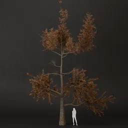 SJ-Cold Ember Pine Tree