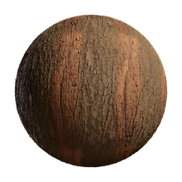 Pinus rigida Bark