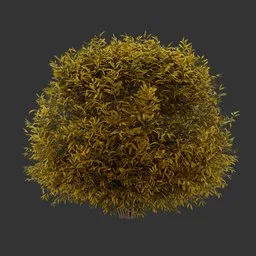 Sphere Bush Autumn Plant