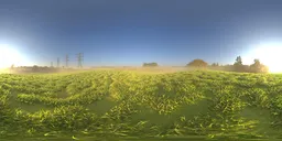 Meadow at Sunrise
