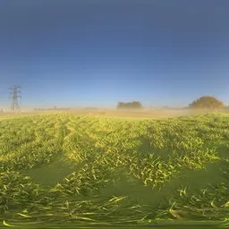 Meadow at Sunrise