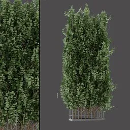 Ivy Climbing Column