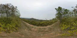 Rough road on the hillside