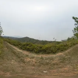 Rough road on the hillside