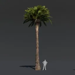 "High-quality 3D model of a Date Palm Tree with PBR textures and materials for Blender 3D. Perfect for cinematic use with big, detailed leaves and a proportional body. Inspire your next project with this realistic and lonely tree, influenced by Attila Meszlenyi and Ambreen Butt."