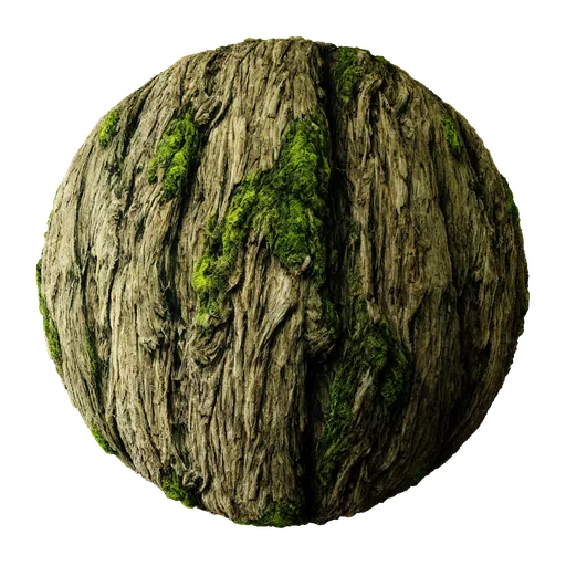 Tree Bark With Moss