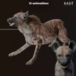 Hyena (Animated,full rigg)
