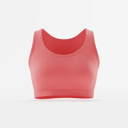 Classic Sporty Premium Bra Design