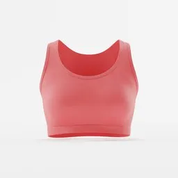 Classic Sporty Premium Bra Design