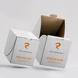Rigged Packaging Folding Box