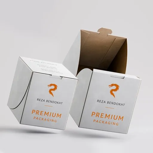 Rigged Packaging Folding Box