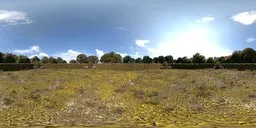 12K HDR of a peaceful garden with flowering plants and blue skies for realistic scene lighting.