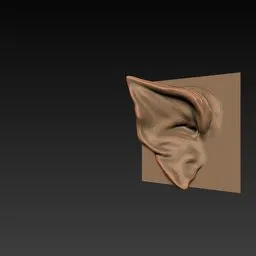 ER Ear Brush 09 for 3D sculpting in Blender, detailing creature ear shapes on model surfaces.