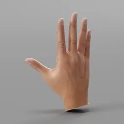 Realistic Male Right Hand Rigged
