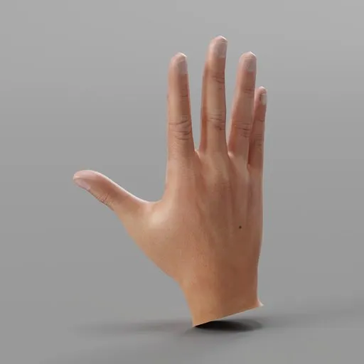 Realistic Male Right Hand Rigged