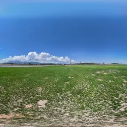 Green grass cloud bluesky