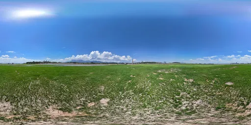 Green grass cloud bluesky