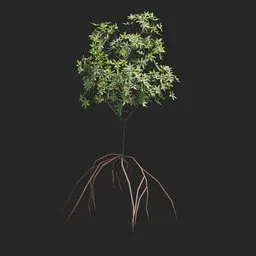 Mangrove Plant + Geometry Nodes + animation