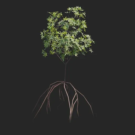 Mangrove Plant + Geometry Nodes + animation