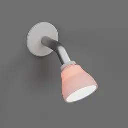 Moen Spray Head Showerhead