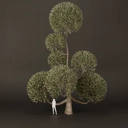 SJ-Ornamental Tree Wave Form