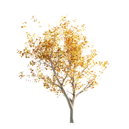 Detailed 3D autumn tree model with golden leaves, designed for Blender rendering and animations.