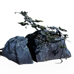 Split Rock with Tree and Moss