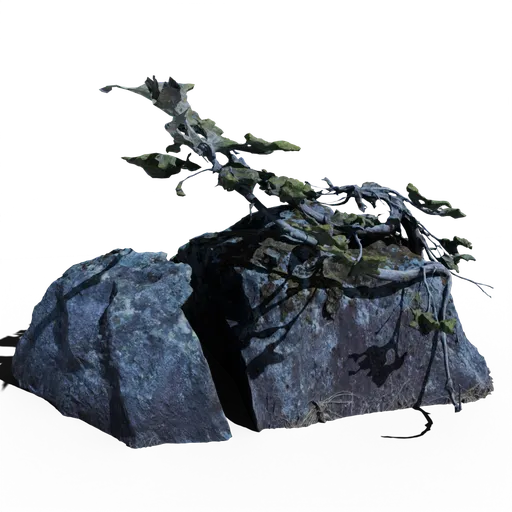 Split Rock with Tree and Moss