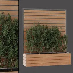 Modern Planter Shrub