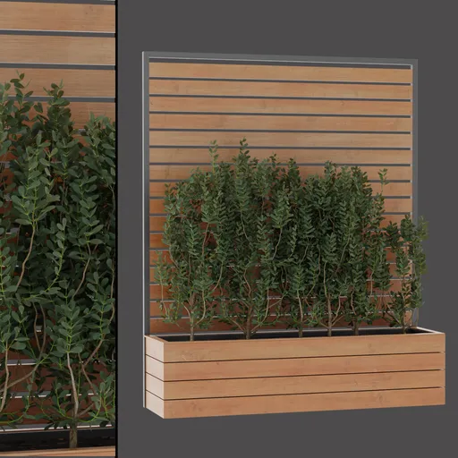 Modern Planter Shrub