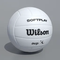 Volleyball Ball