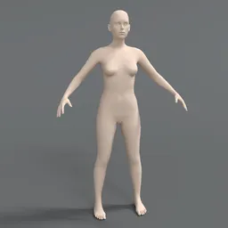 Caucasian Female Base Mesh