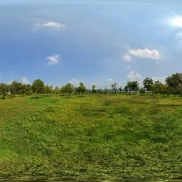 Highsky green forest clouds