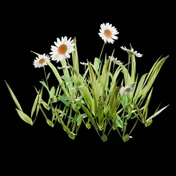 Outdoor Decoration Flowers