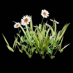 Outdoor Decoration Flowers