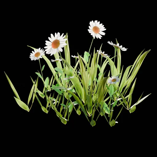 Outdoor Decoration Flowers
