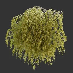 Wall Hanging Autumn Plant AQ