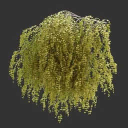 Wall Hanging Autumn Plant AQ