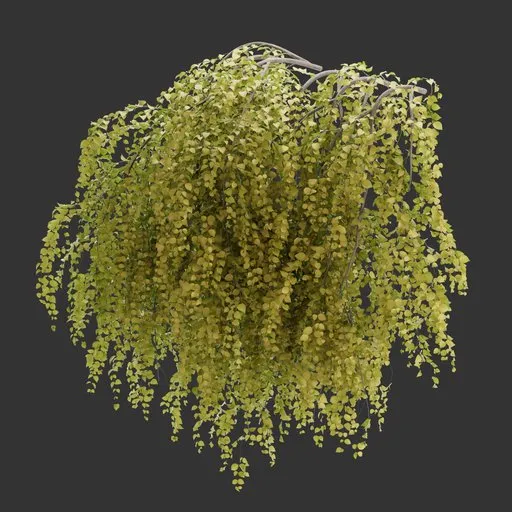 Wall Hanging Autumn Plant