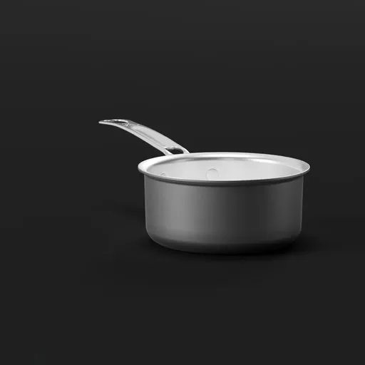 Stainless Steel Saucepan