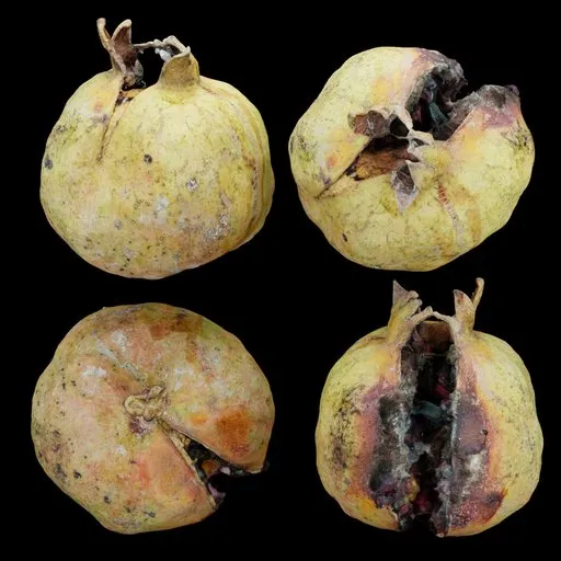 Cracked  Overripe Pomegranate