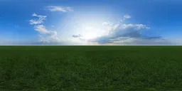 Green grass cloudy blue sky pure sky