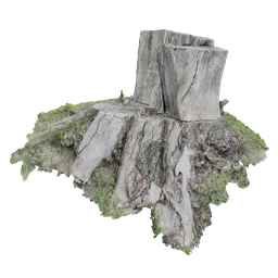 Realistic Blender 3D model of a medium-poly tree stump on grassy terrain, ideal for natural scene rendering.