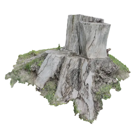 Tree stump on a hill photoscanned | FREE Trees models | Blendkit