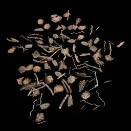 Natural Ground Debris